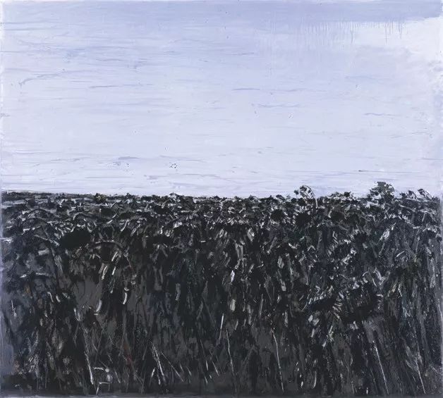 1667961045167464.jpg