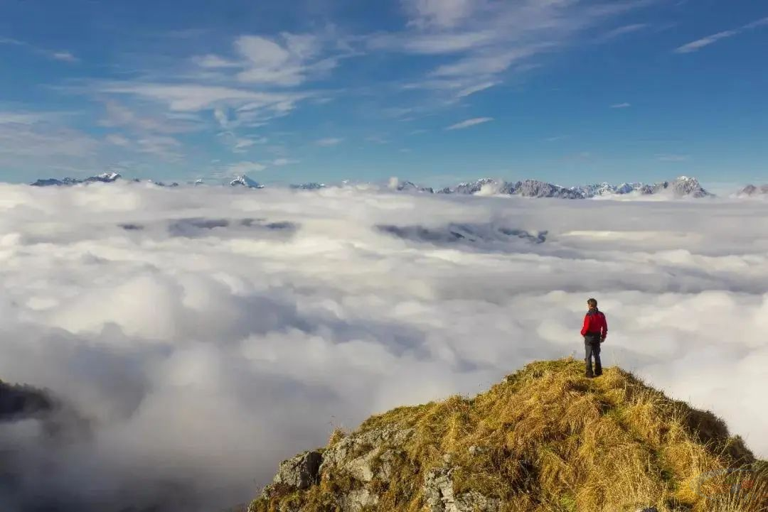 1687575373613298.jpg wadcj01rua1670827790569.jpg